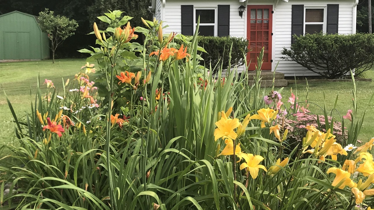 Photo of Outdoor in South Bend