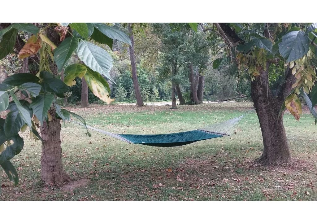 Photo of Outdoor in Luray