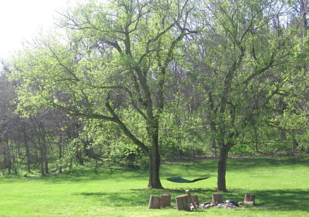 Photo of Outdoor in Luray
