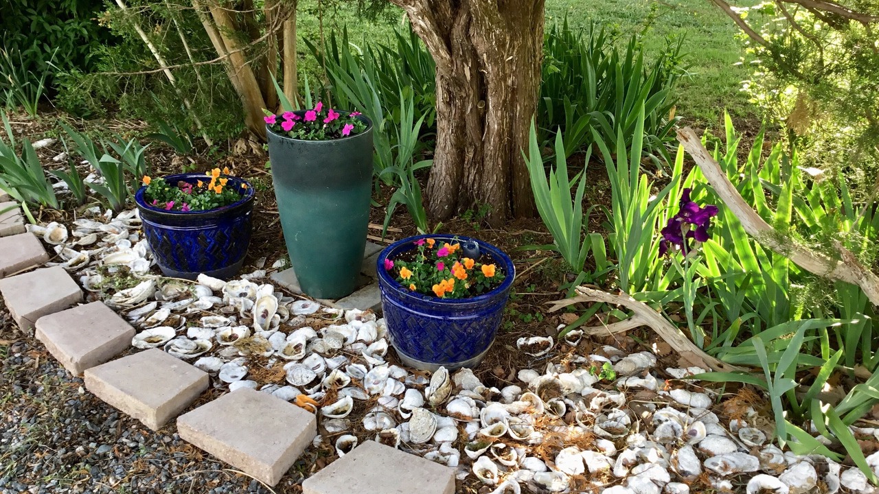 Photo of Outdoor in Dutton