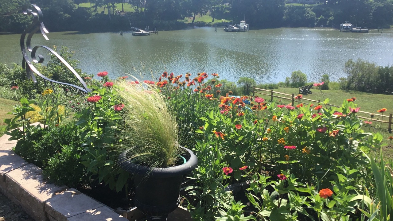 Photo of Outdoor in Dutton