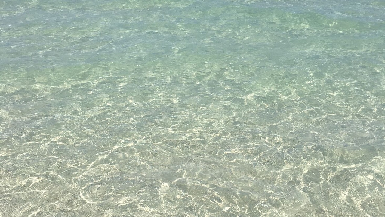 Photo of Others in Mid Beach