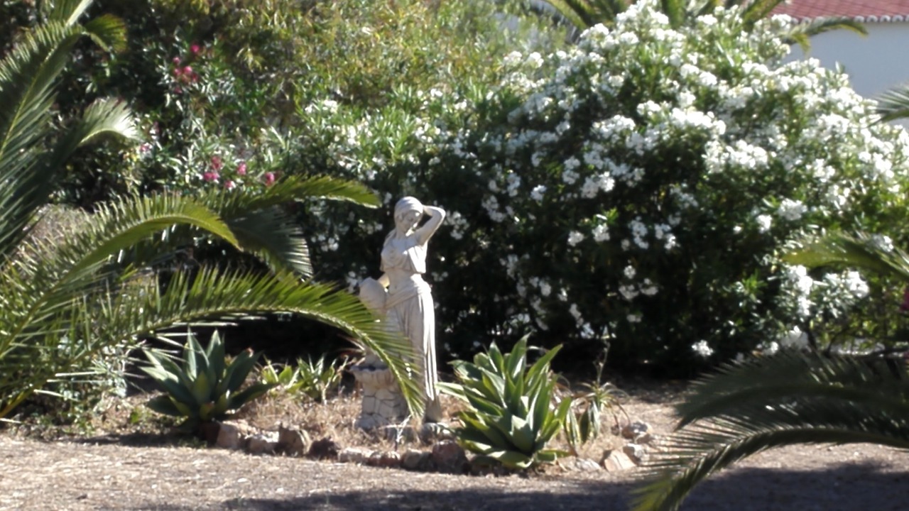 Photo of Outdoor in Carvoeiro