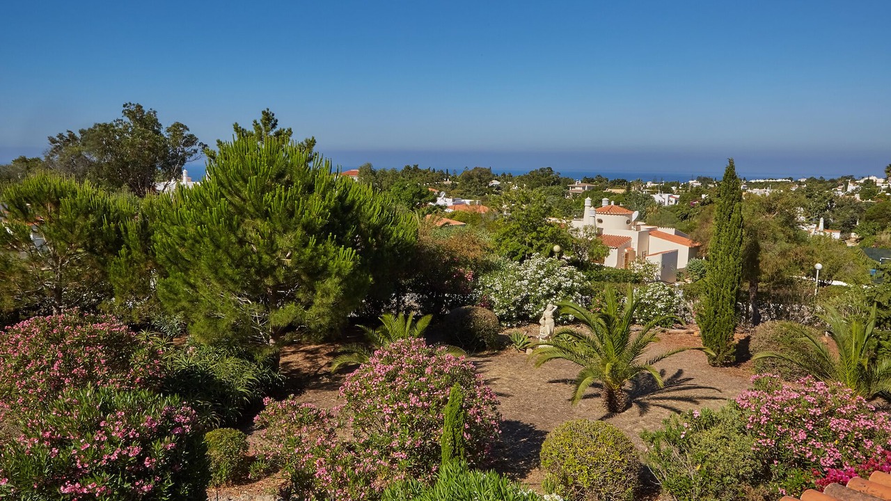 Photo of Outdoor in Carvoeiro