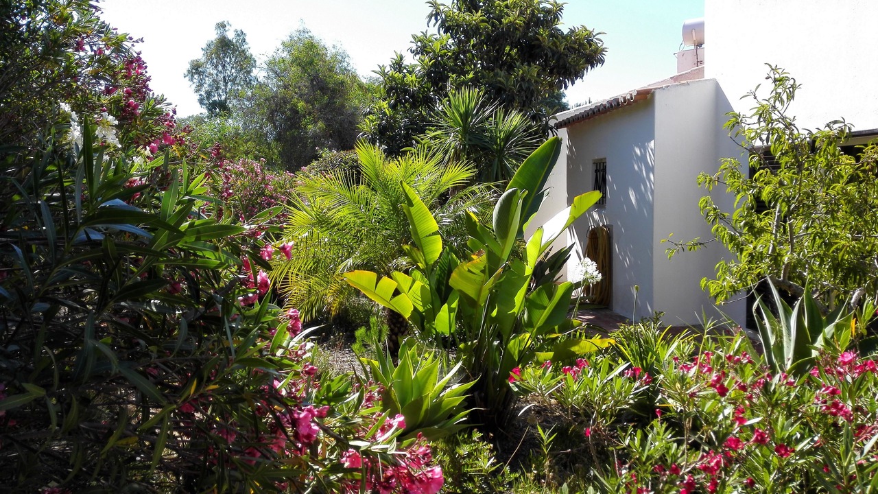 Photo of Outdoor in Carvoeiro