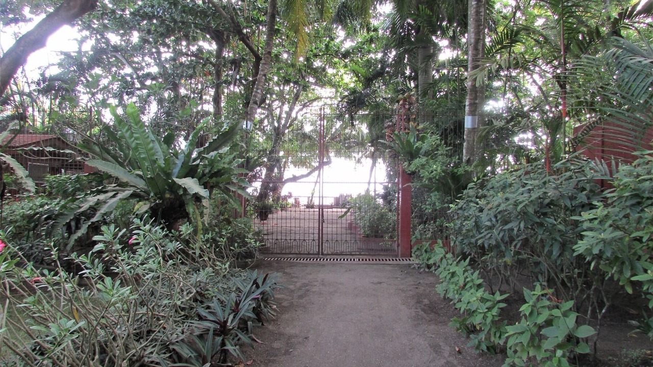 Photo of Outdoor in Dumaguete