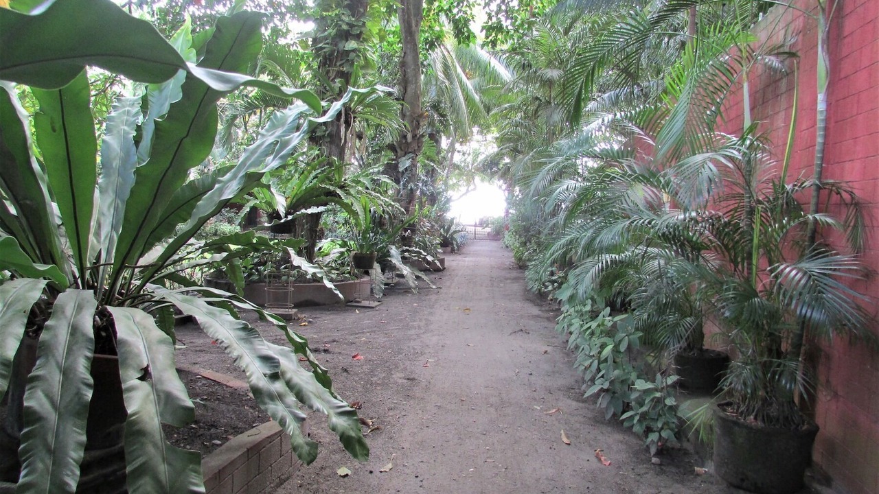 Photo of Outdoor in Dumaguete