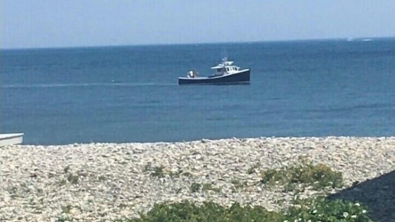 Photo of Others in Scituate
