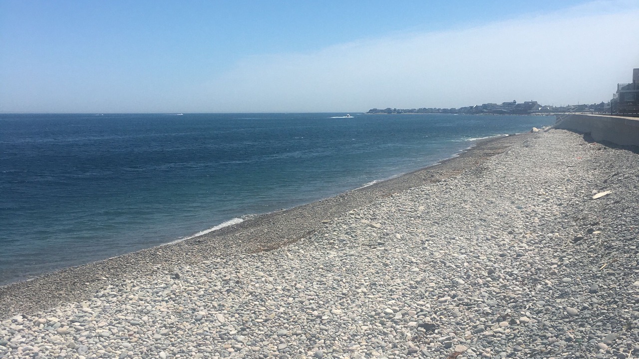 Photo of Others in Scituate