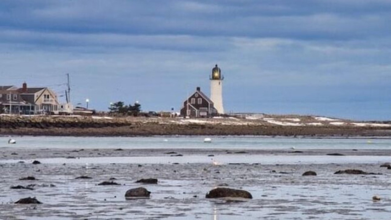 Photo of Others in Scituate