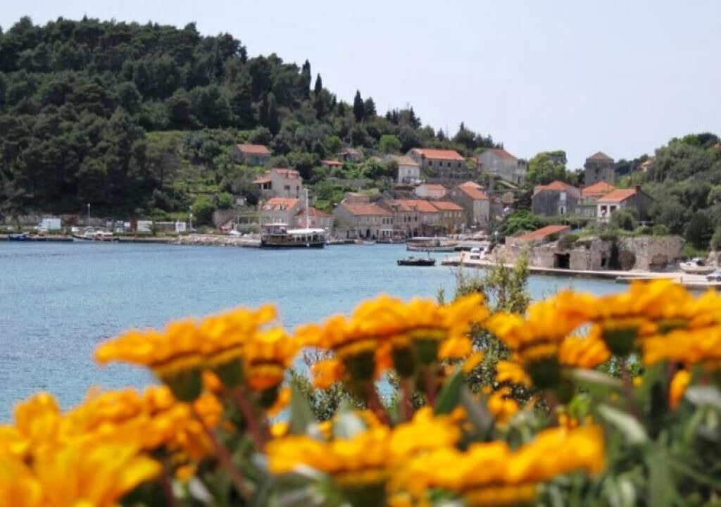 Photo of Outdoor in Sudurad