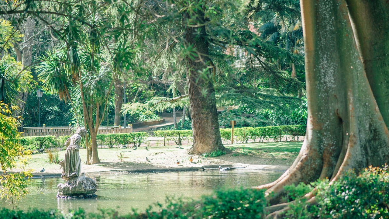 Photo of Others in Santos