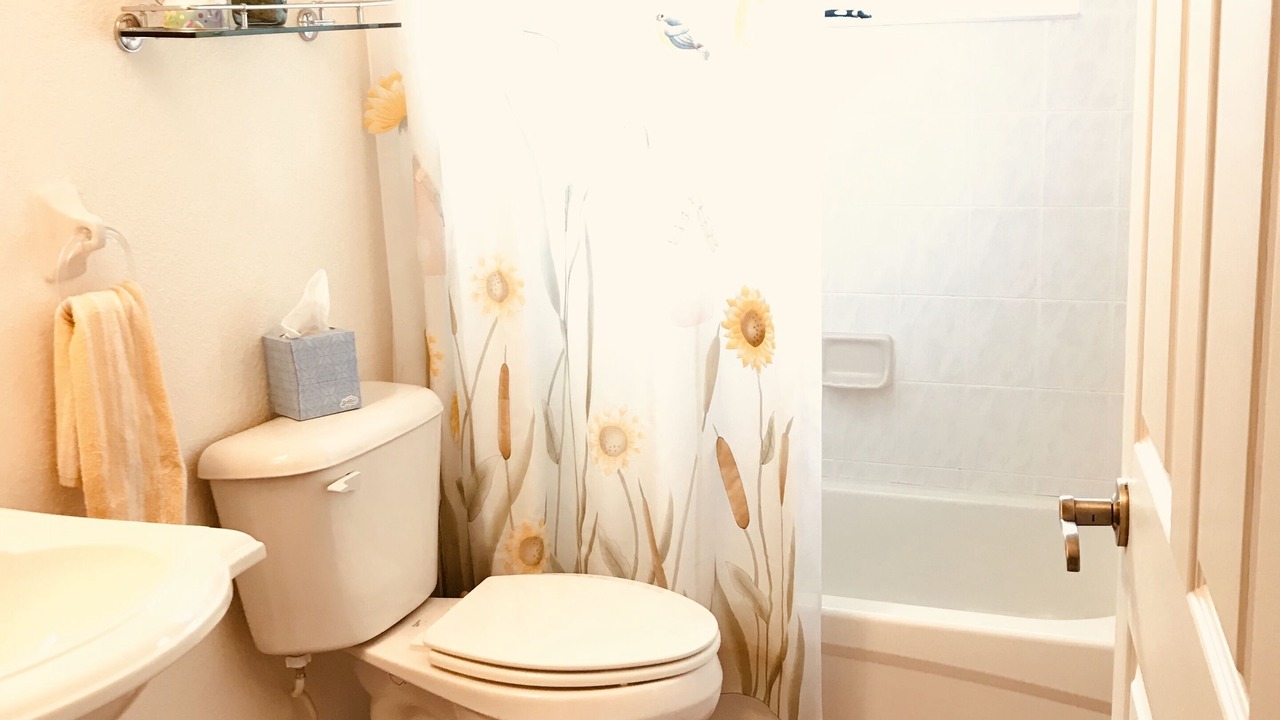 Photo of Bathroom in Dunnellon