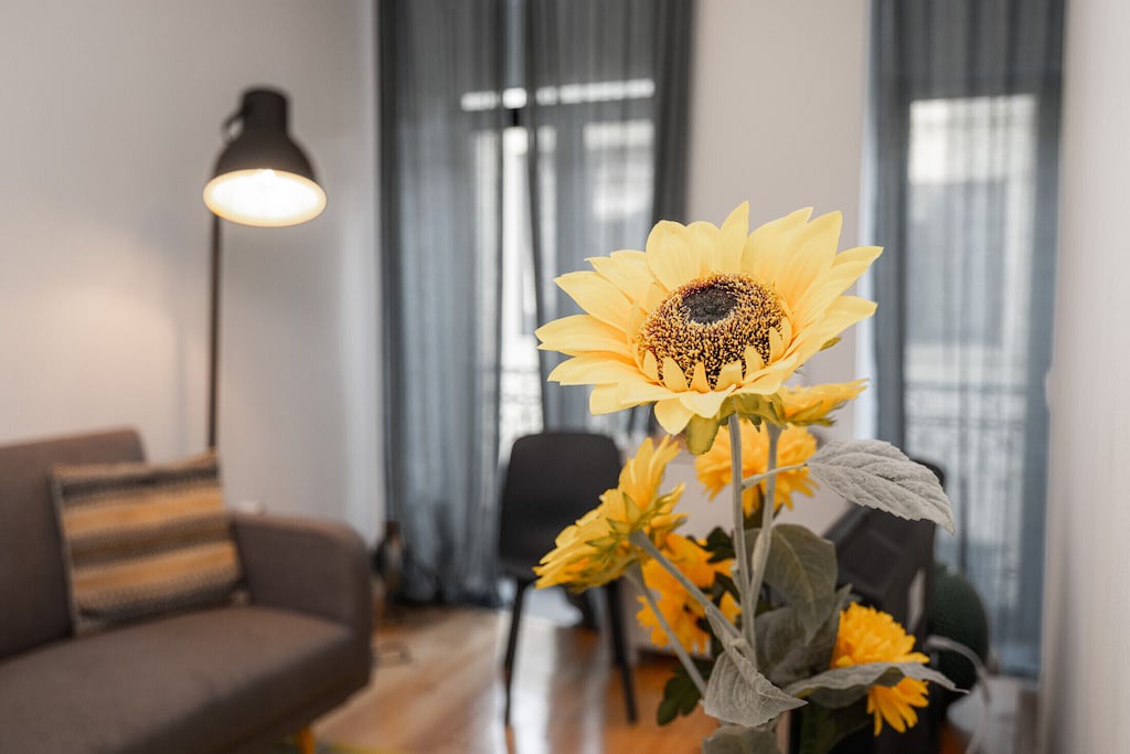 Photo of Livingroom in Bonfim