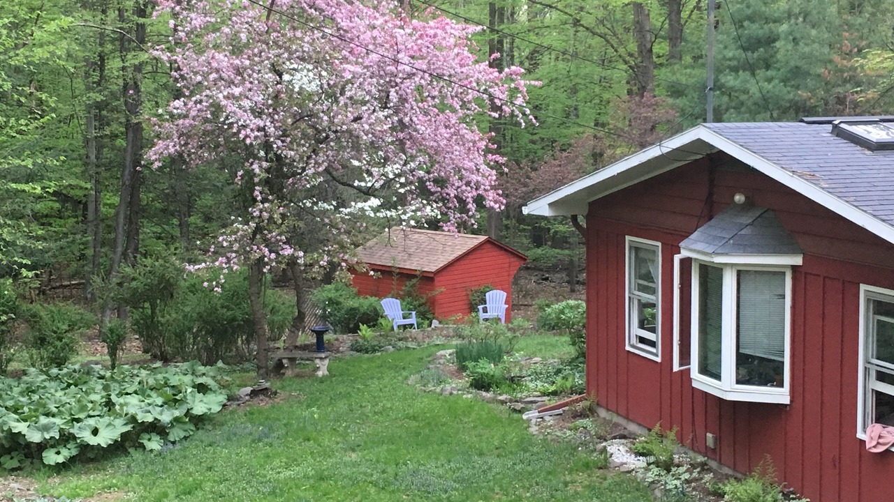 Photo of Others in Woodstock