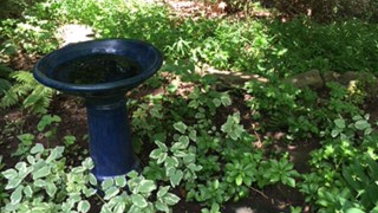 Photo of Outdoor in Woodstock