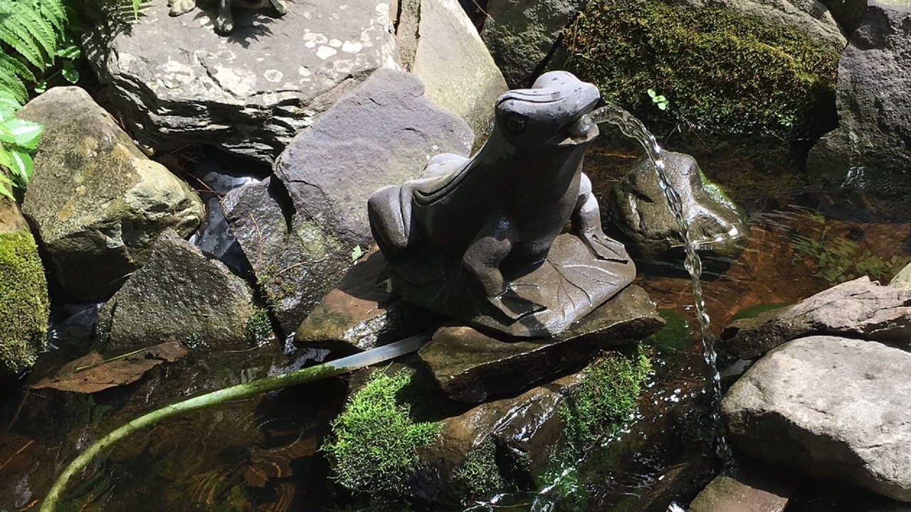 Photo of Outdoor in Woodstock