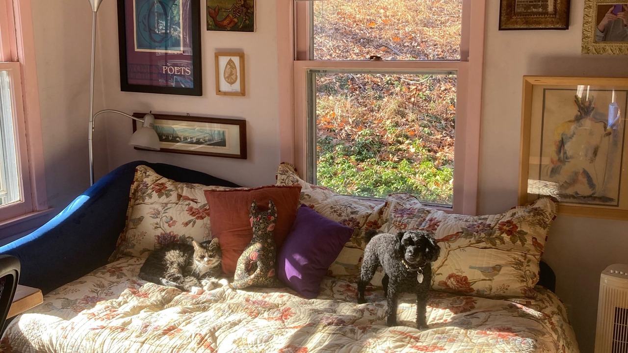 Photo of Others in Woodstock