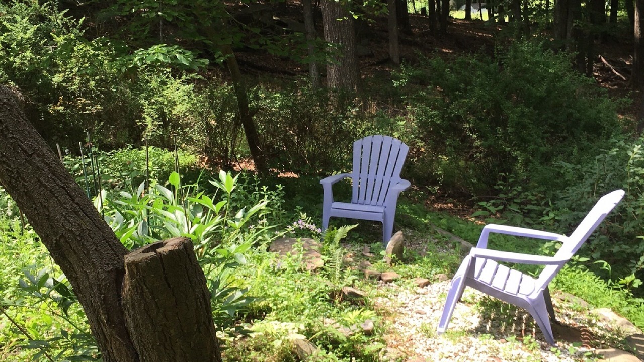 Photo of Outdoor in Woodstock