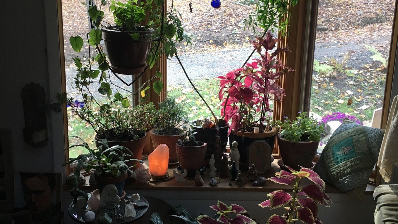 Photo of Others in Woodstock