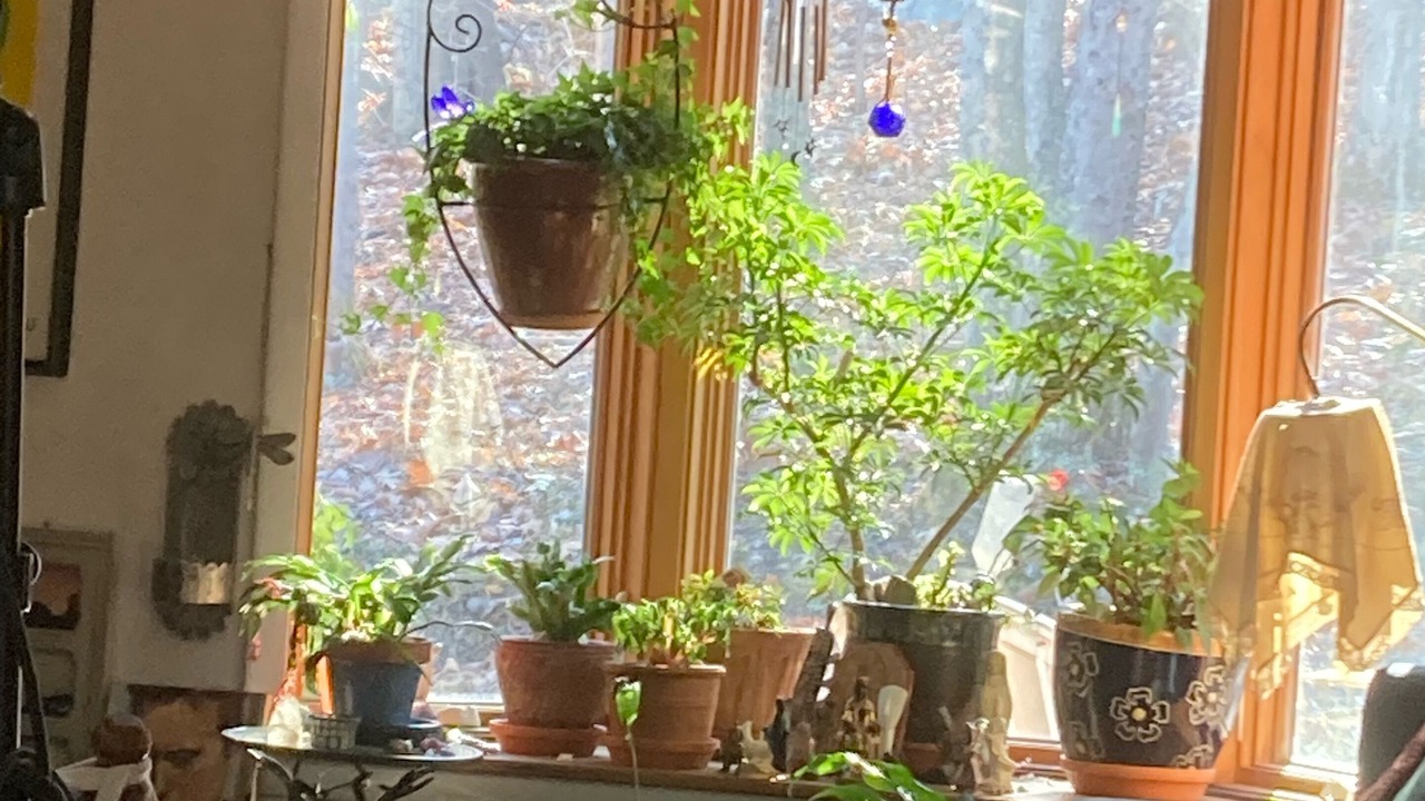 Photo of Outdoor in Woodstock