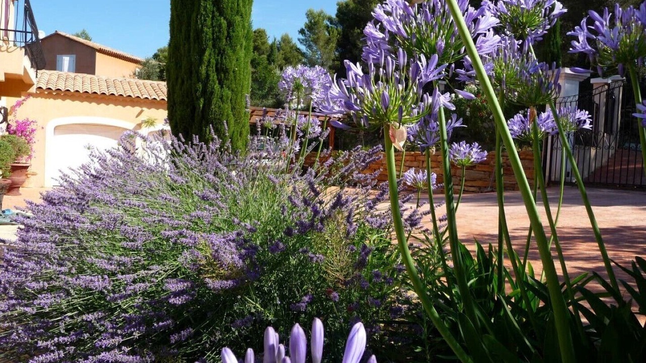 Photo of Outdoor in La Cadiere-d'Azur