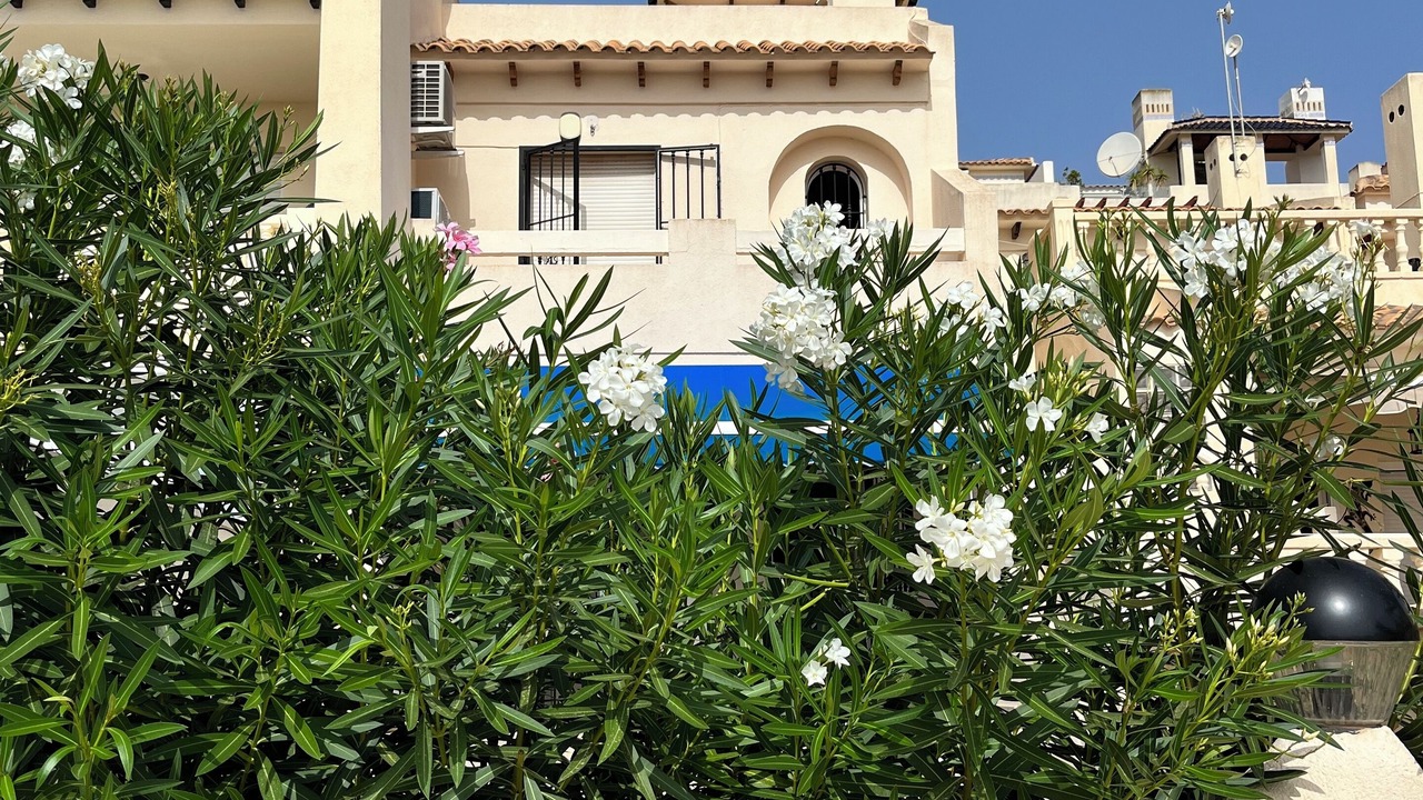Photo of Outdoor in Orihuela Costa