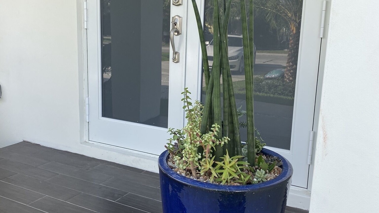 Photo of Outdoor in Coral Terrace