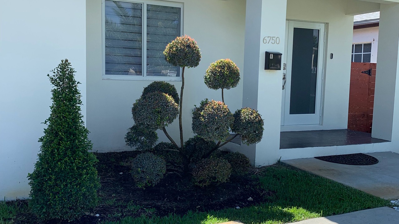 Photo of Outdoor in Coral Terrace
