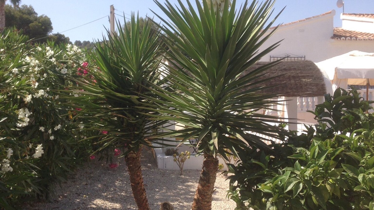 Photo of Outdoor in Benissa Coast