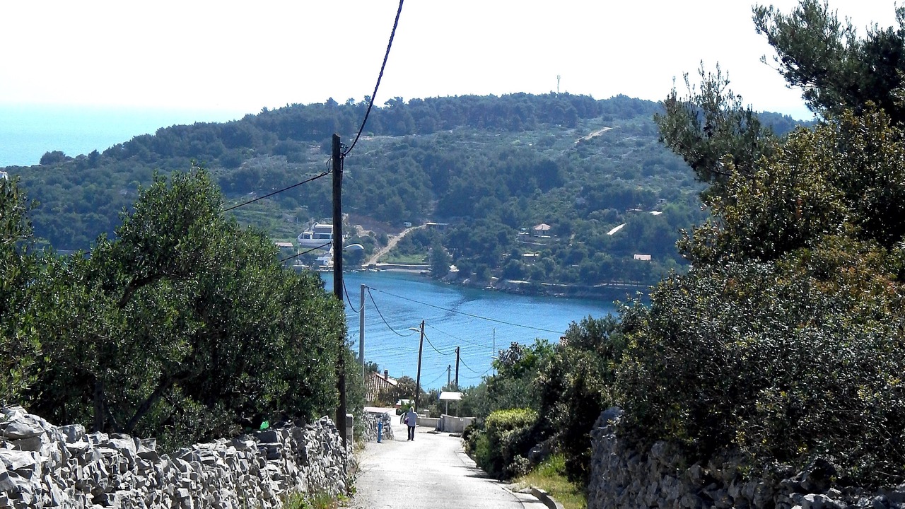 Photo of Others in Rogac