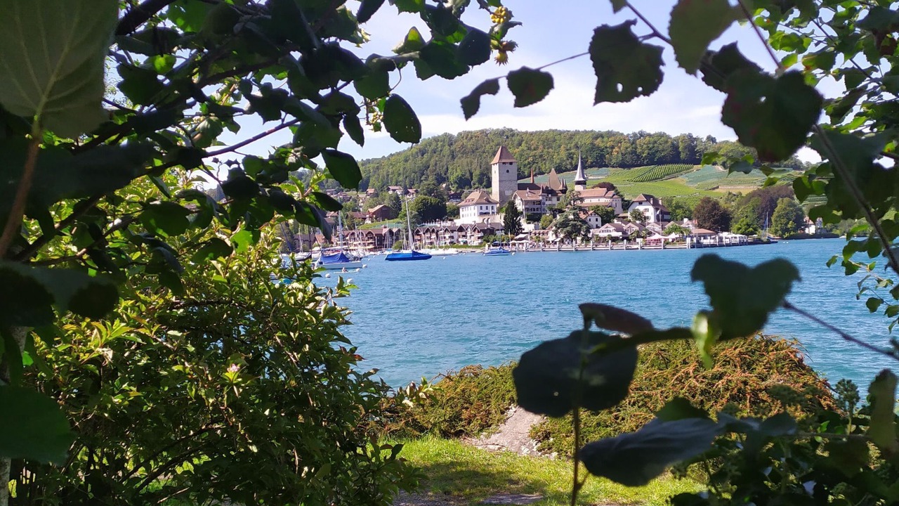 Photo of Outdoor in Spiez