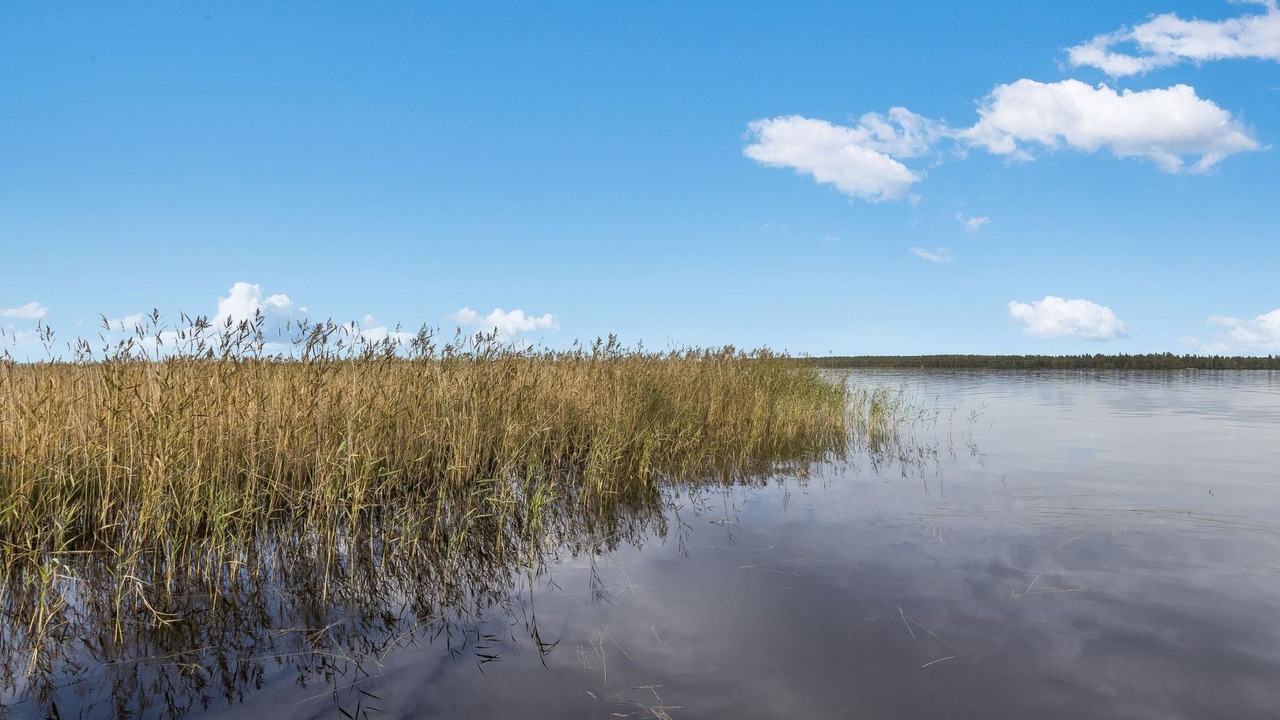 Photo of Others in Tiilikkajarvi National Park