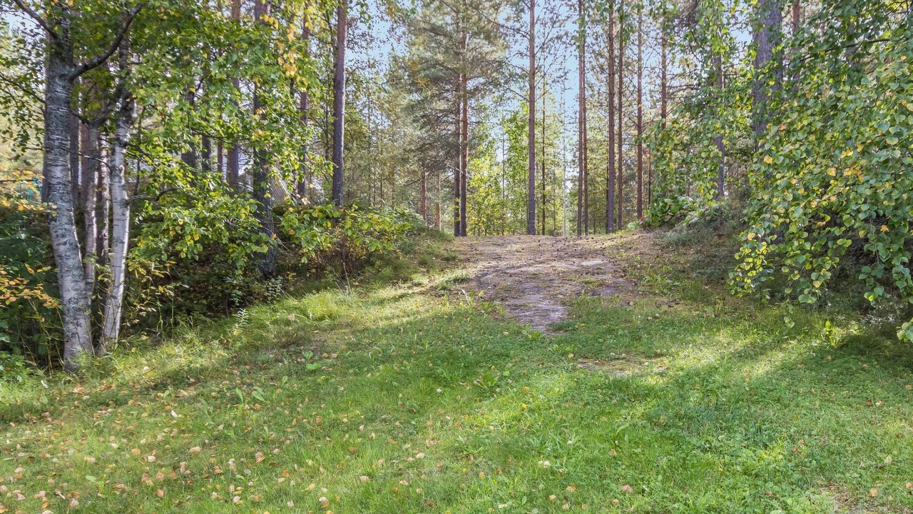 Photo of Outdoor in Tiilikkajarvi National Park