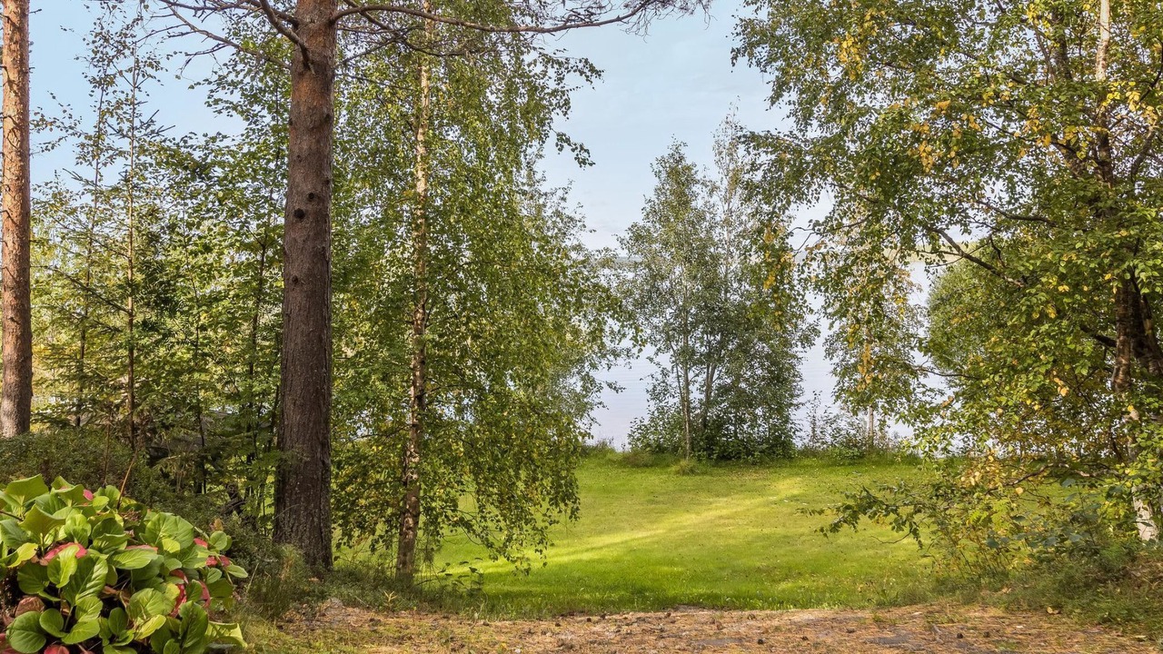 Photo of Outdoor in Tiilikkajarvi National Park