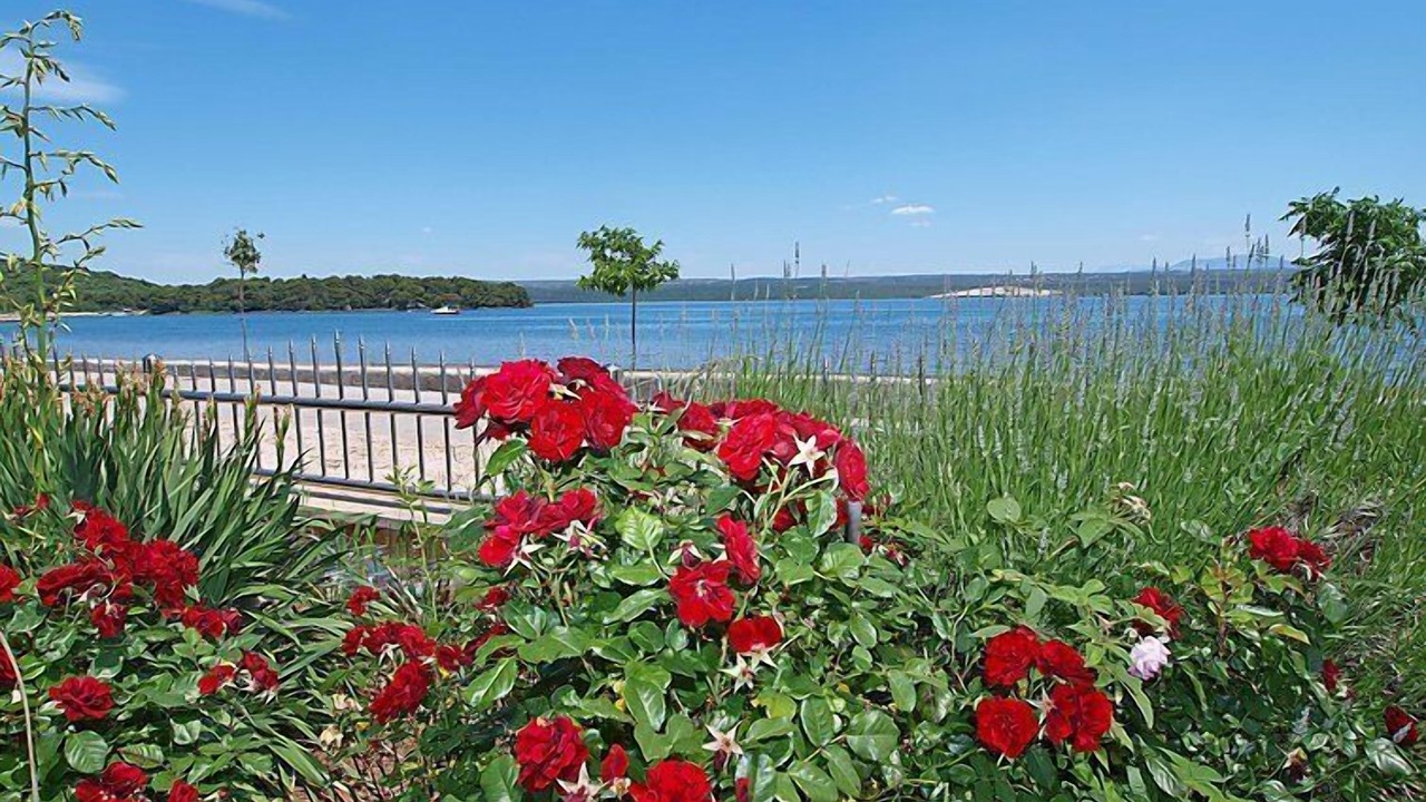 Photo of Outdoor in Raslina