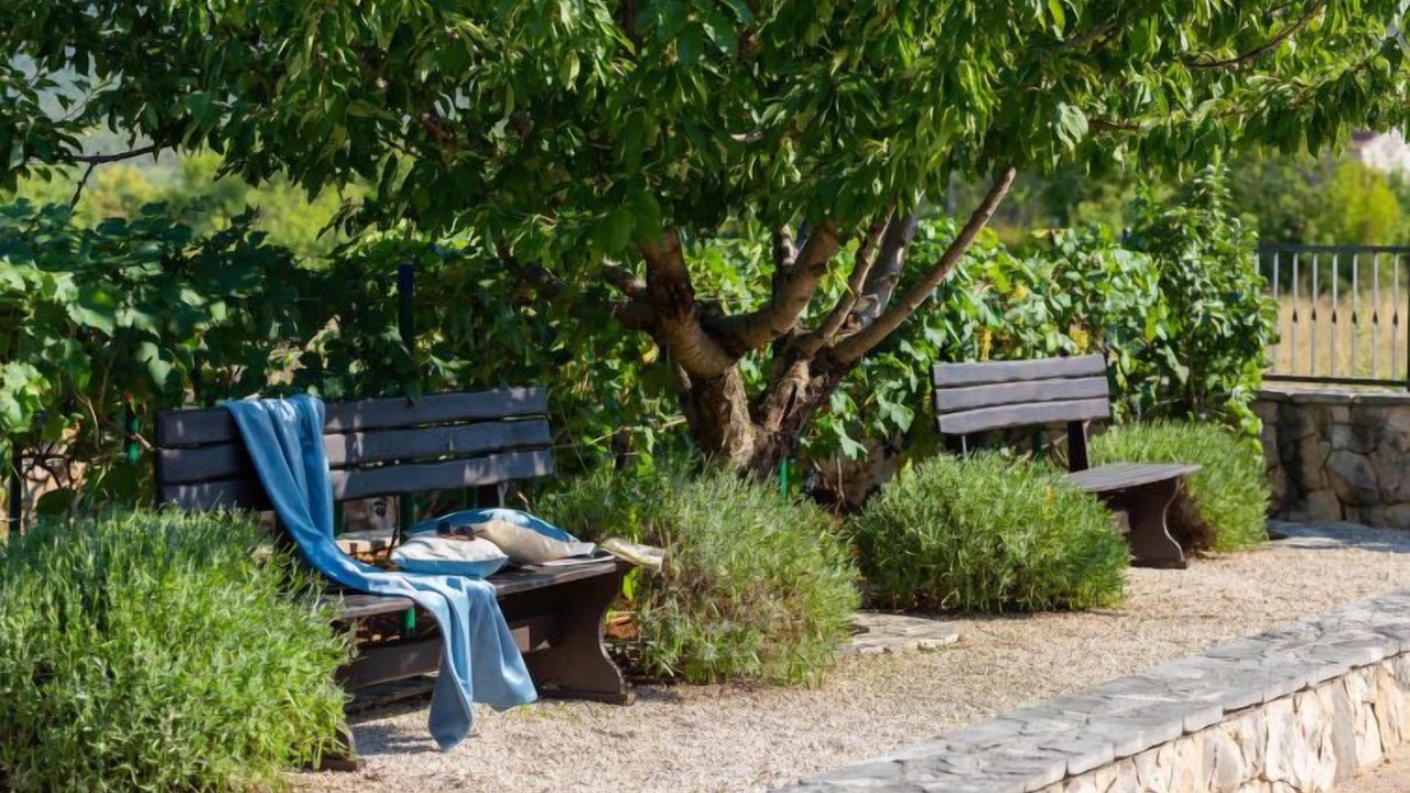 Photo of Others in Bristivica