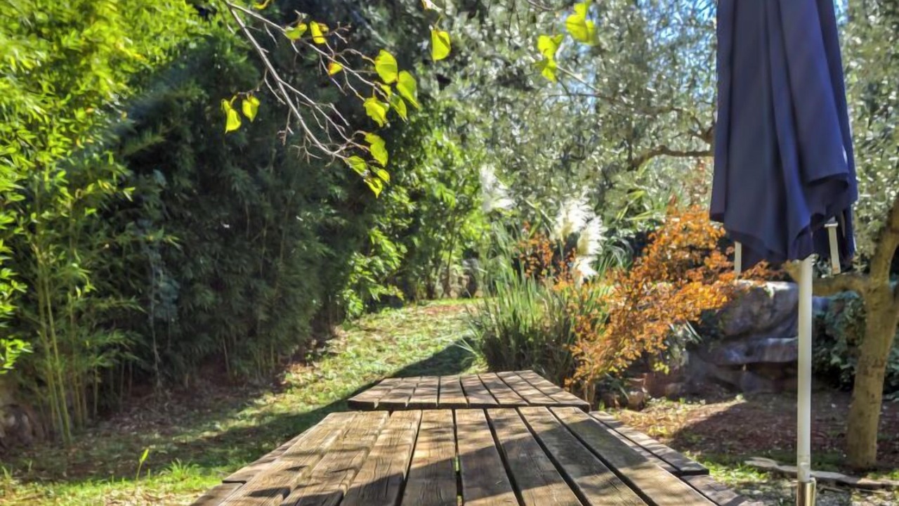 Photo of Outdoor in Zambratija