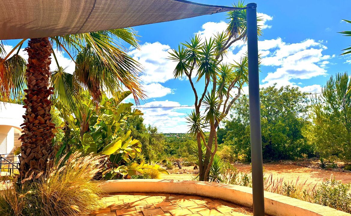 Photo of Outdoor in Olhao