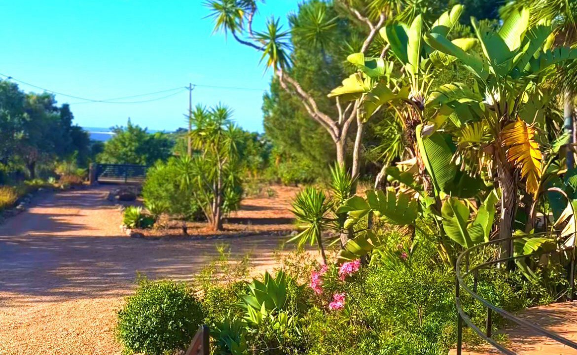 Photo of Outdoor in Olhao