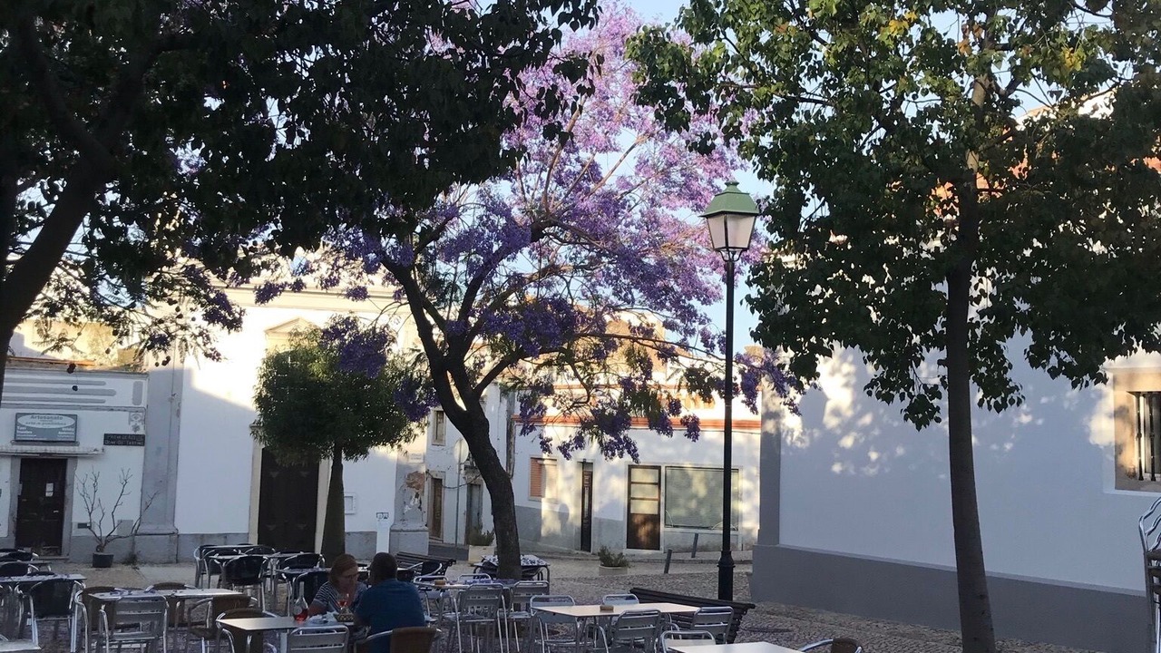 Photo of Outdoor in Olhao