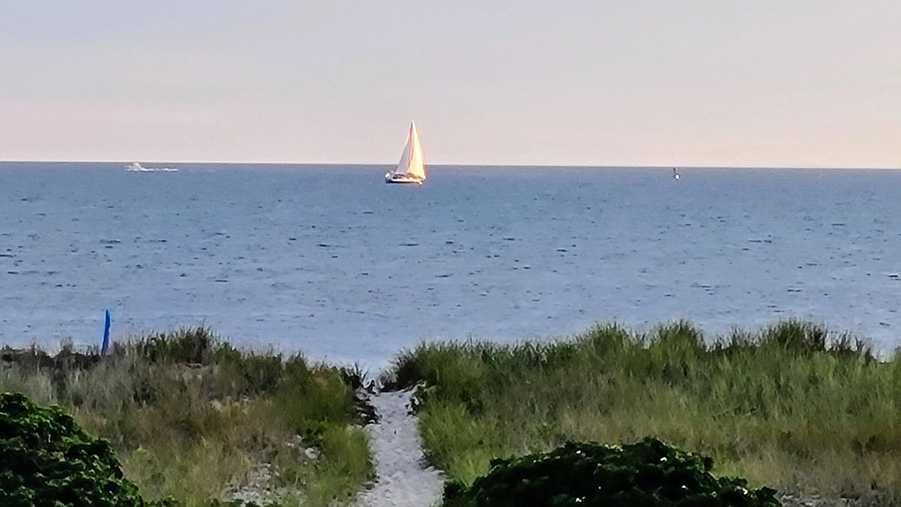 Photo of Others in North Truro
