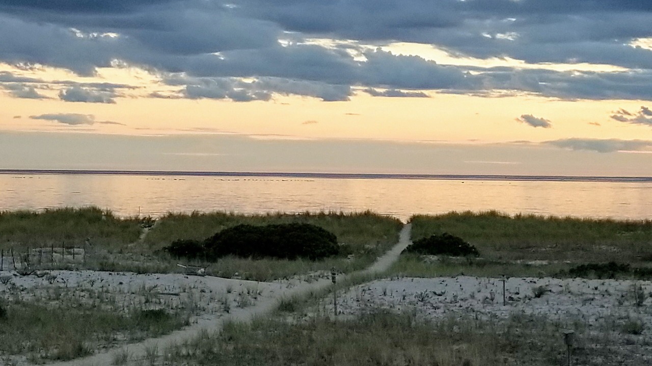 Photo of Others in North Truro