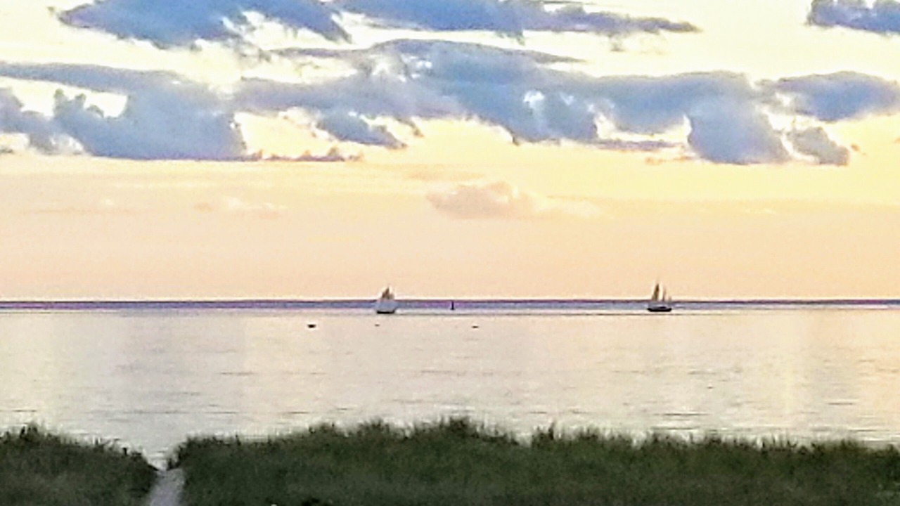 Photo of Others in North Truro