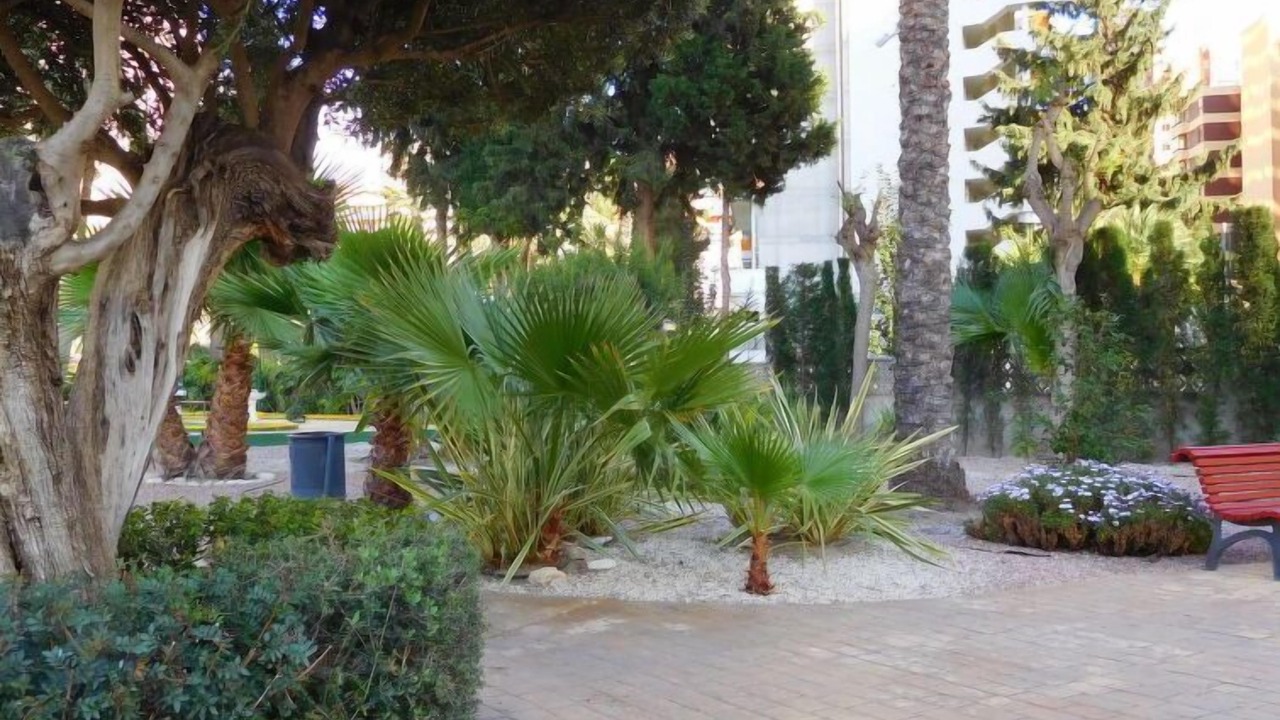 Photo of Outdoor in Rincon de Loix