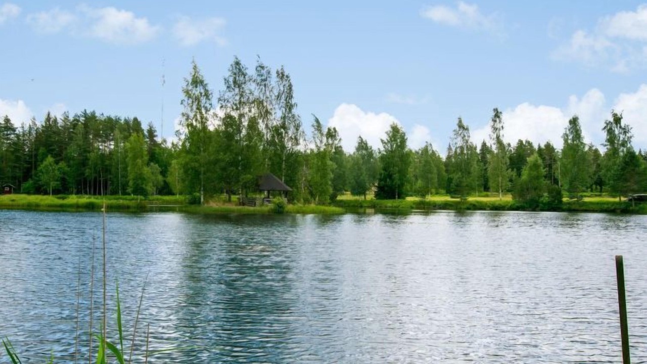 Photo of Others in Poytya