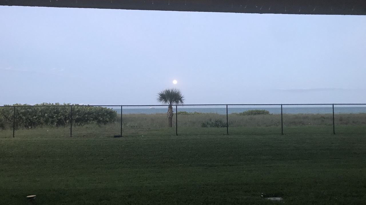Photo of Others in Cocoa Beach