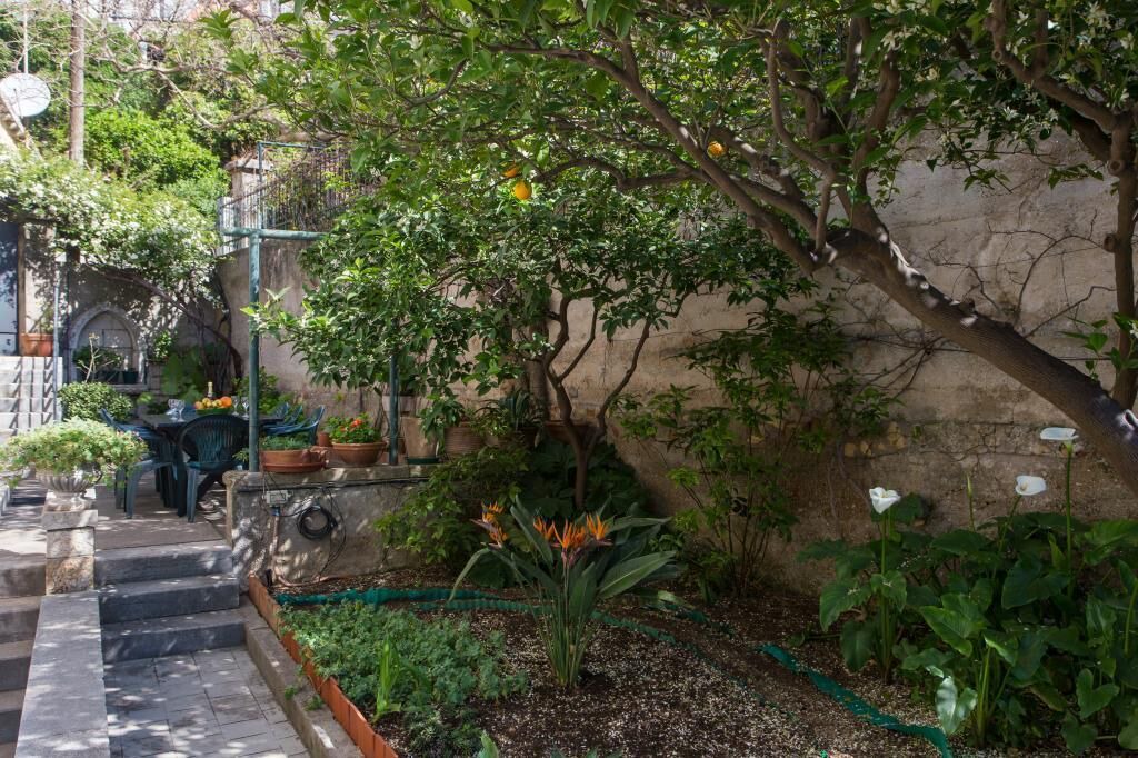 Photo of Outdoor in Ploce