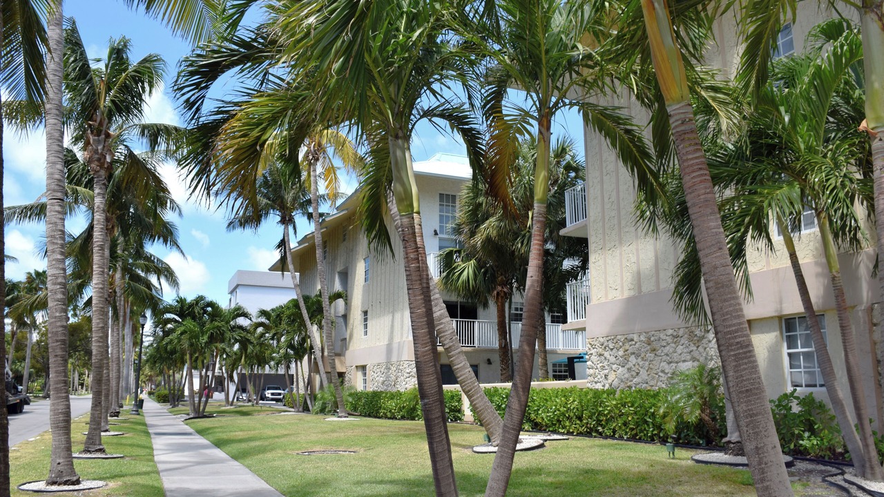 Photo of Others in Key Biscayne