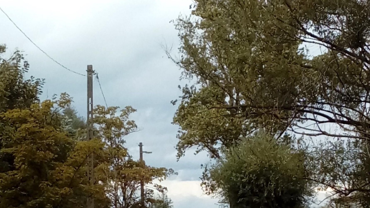 Photo of Others in Balatonmariafurdo